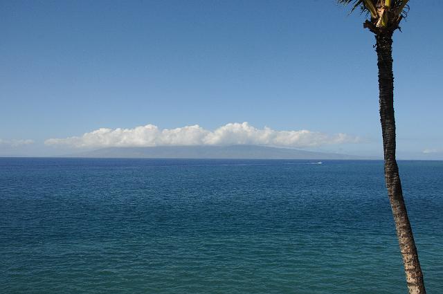 DJK_5059.JPG