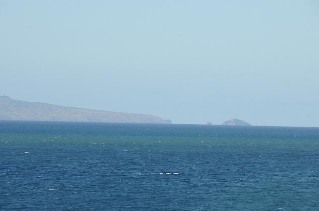 DJK_5115.JPG