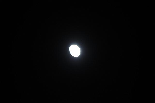 DJK_5180.JPG