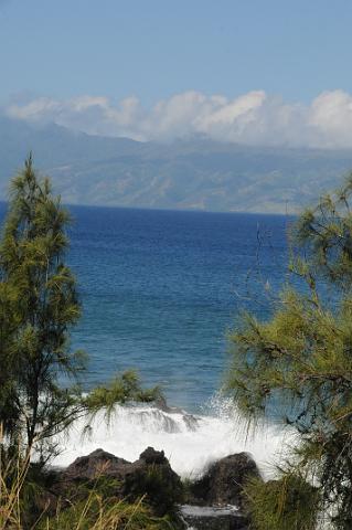 DJK_5505.JPG