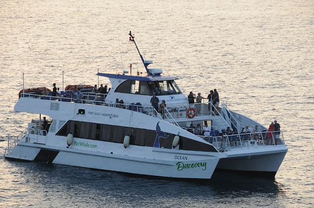 DJK_5676.JPG