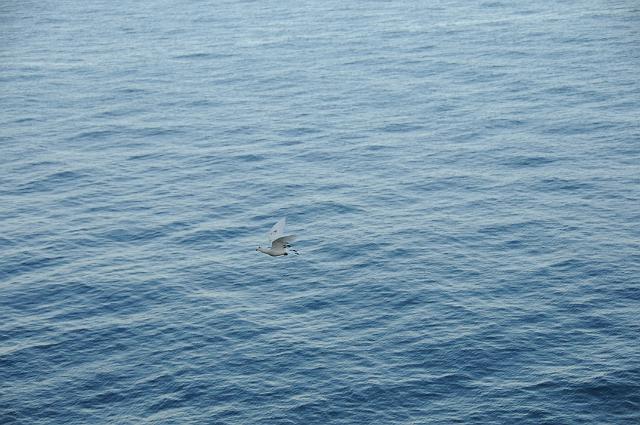 DJK_5725.JPG