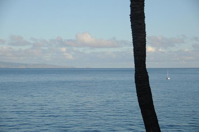 DJK_5733.JPG