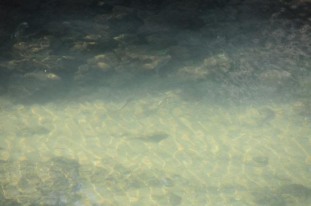 DJK_5744.JPG