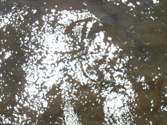 DSCN5202.JPG