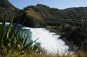 DJK_5435