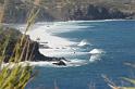 DJK_5460