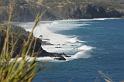 DJK_5461