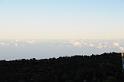 DJK_5663