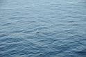 DJK_5725