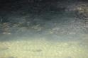 DJK_5745