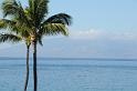 DJK_5754