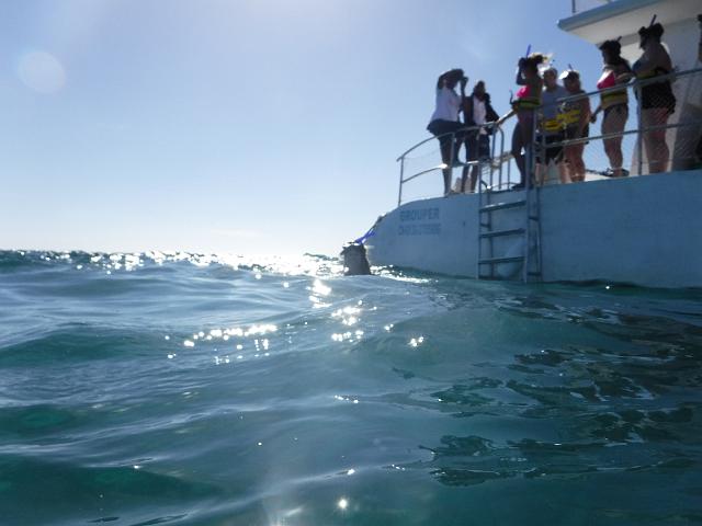 DSCF0091.JPG