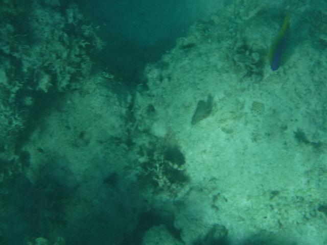 DSCF0134.JPG