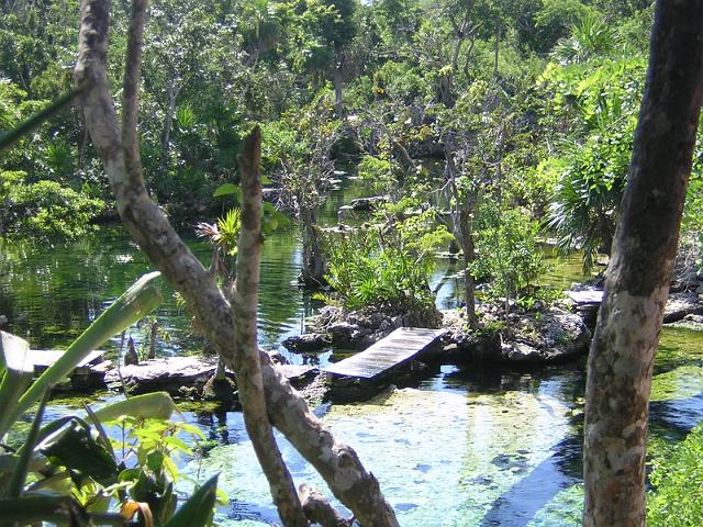 DSCN2939.JPG