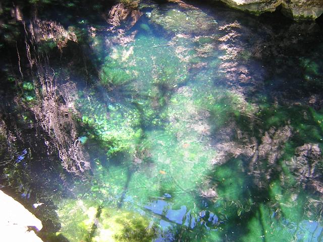 DSCN2942.JPG