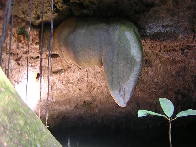 DSCN2962.JPG
