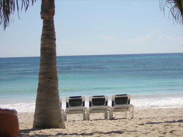 DSCN2895.JPG