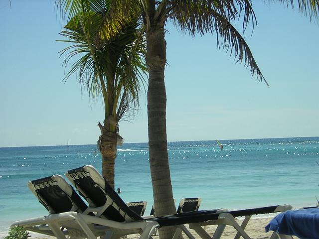 DSCN2897.JPG