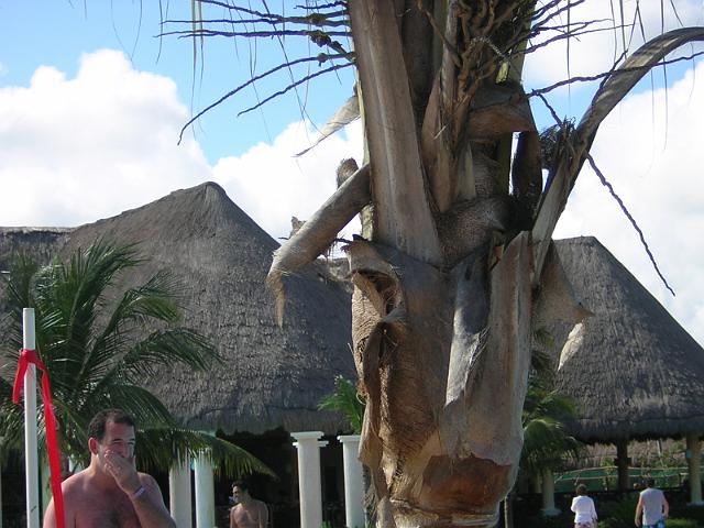 DSCN2983.JPG