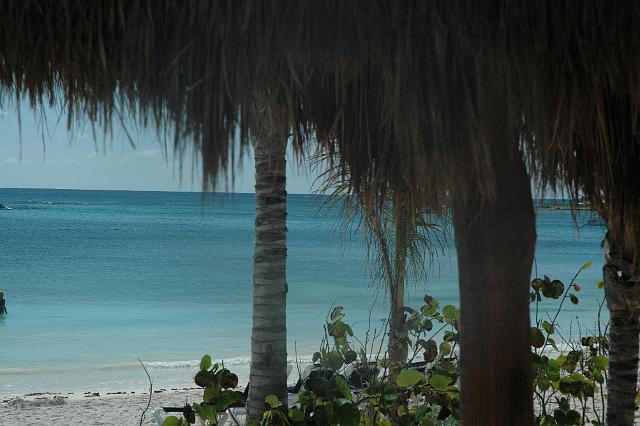 DSC_0073.JPG