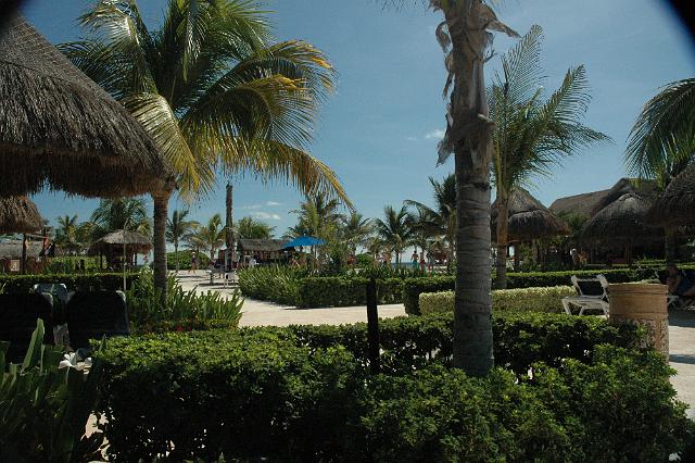 DSC_0174.JPG