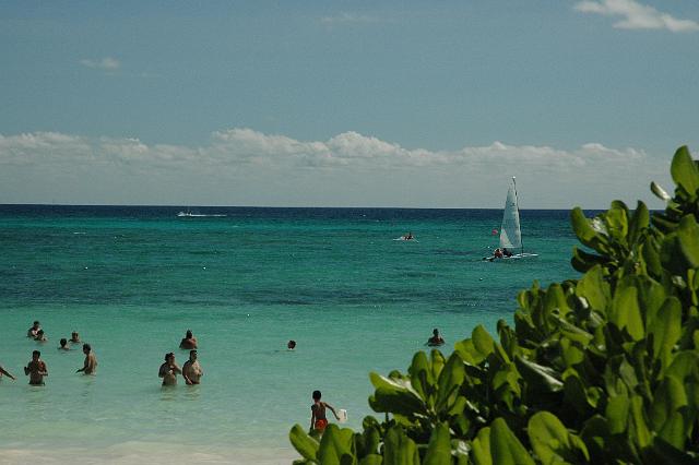 DSC_0175.JPG