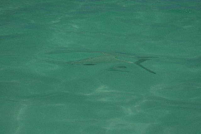 DSC_0232.JPG