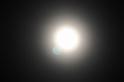DJK_8448